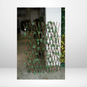 SDA1 HEDGE