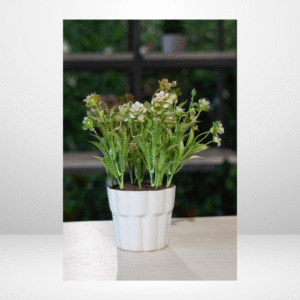 SDA5 PLANT