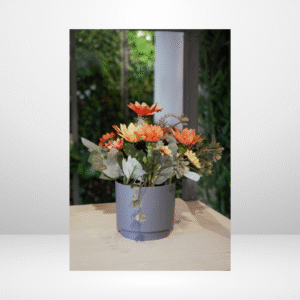 SDA3 PLANT
