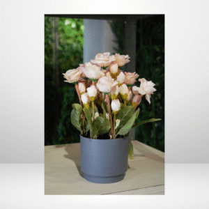 SDA2 PLANT