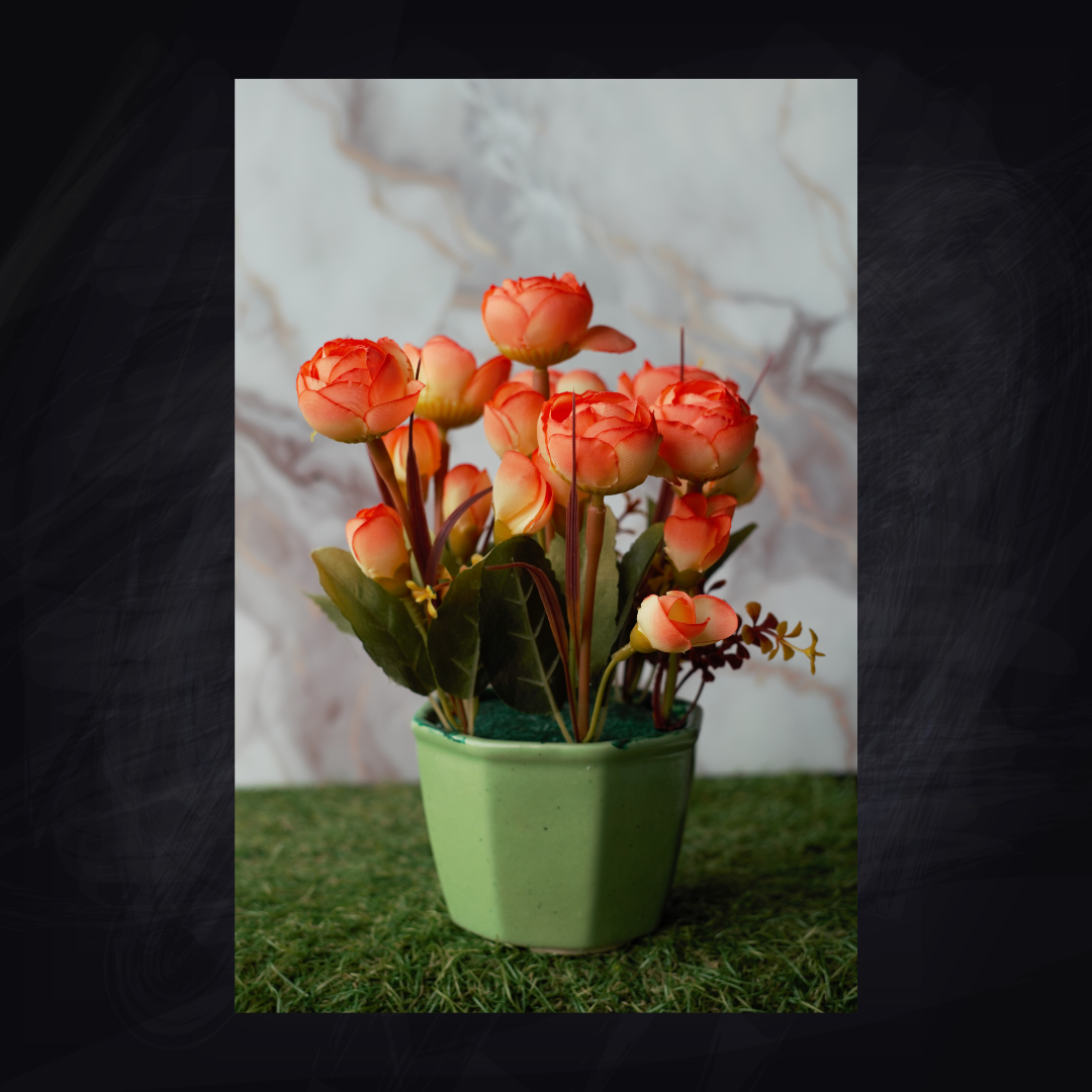 arrangments (7)