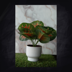 SDA3 ARRANGEMENT