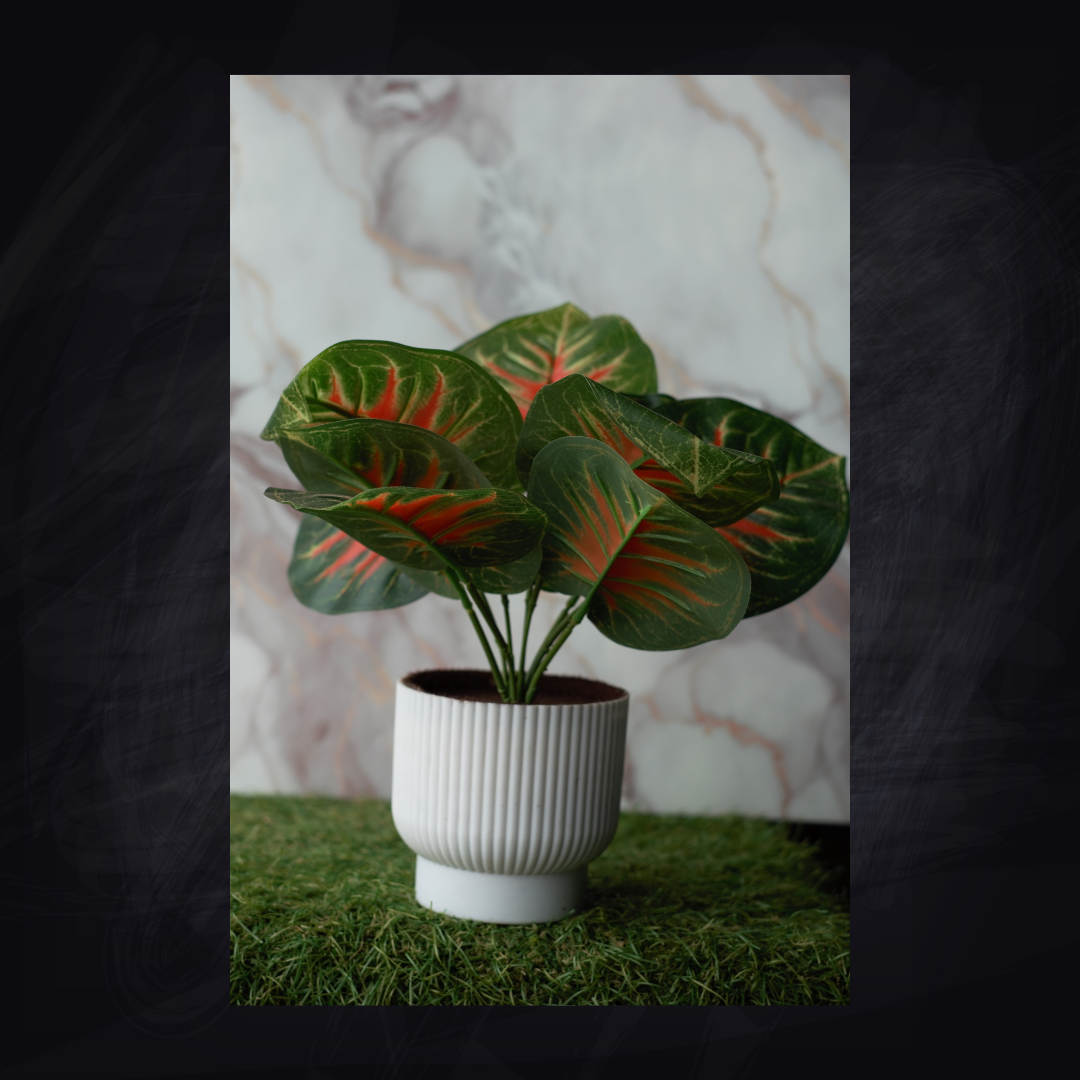 SDA3 ARRANGEMENT