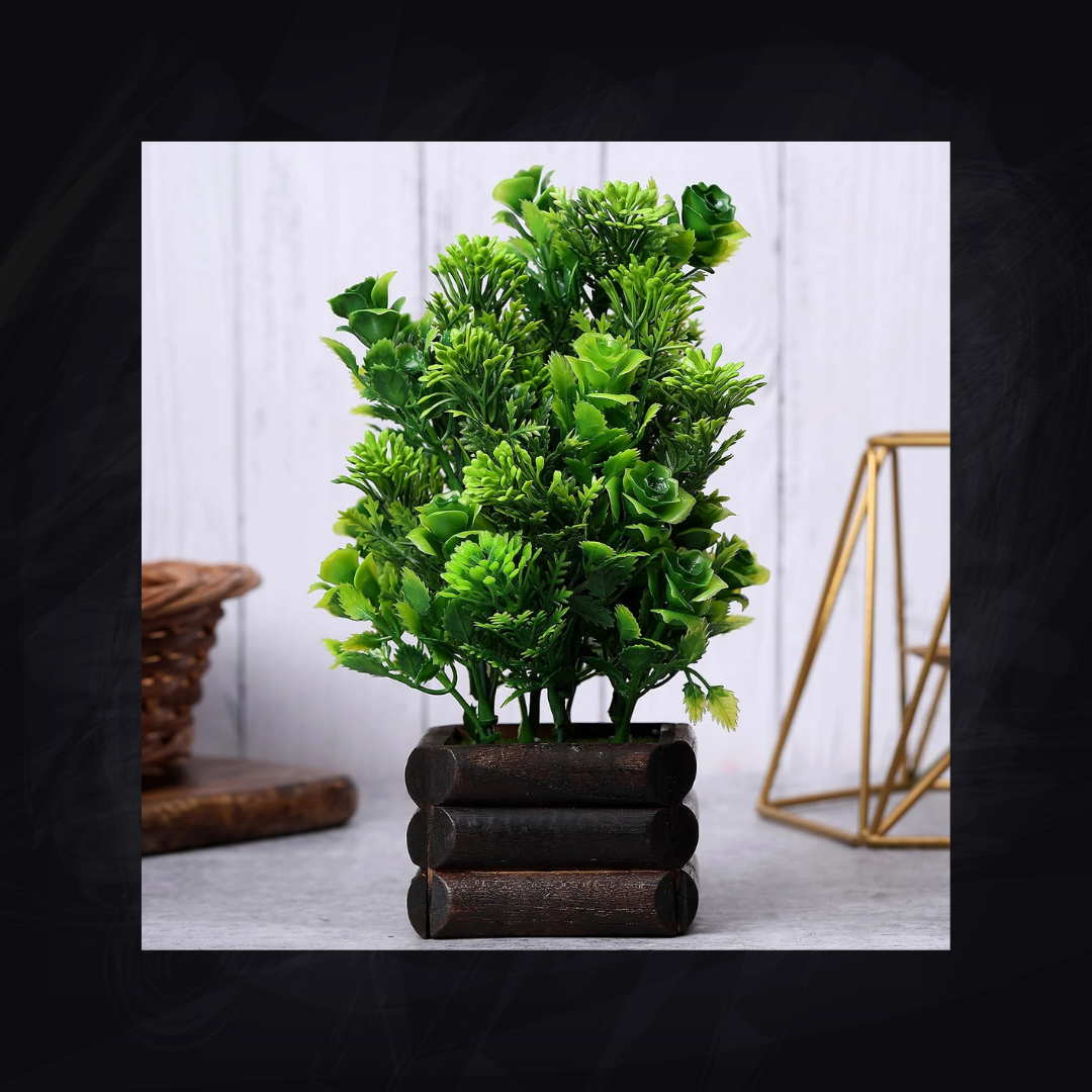 SDA3 BONSAI