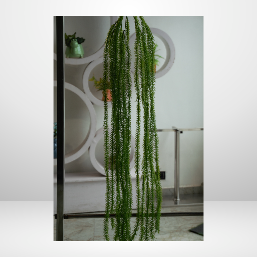 SDA2 CREEPER